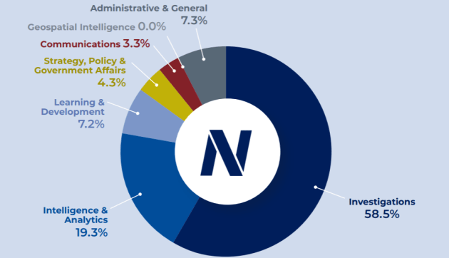 NICB 2025 financial pie chart